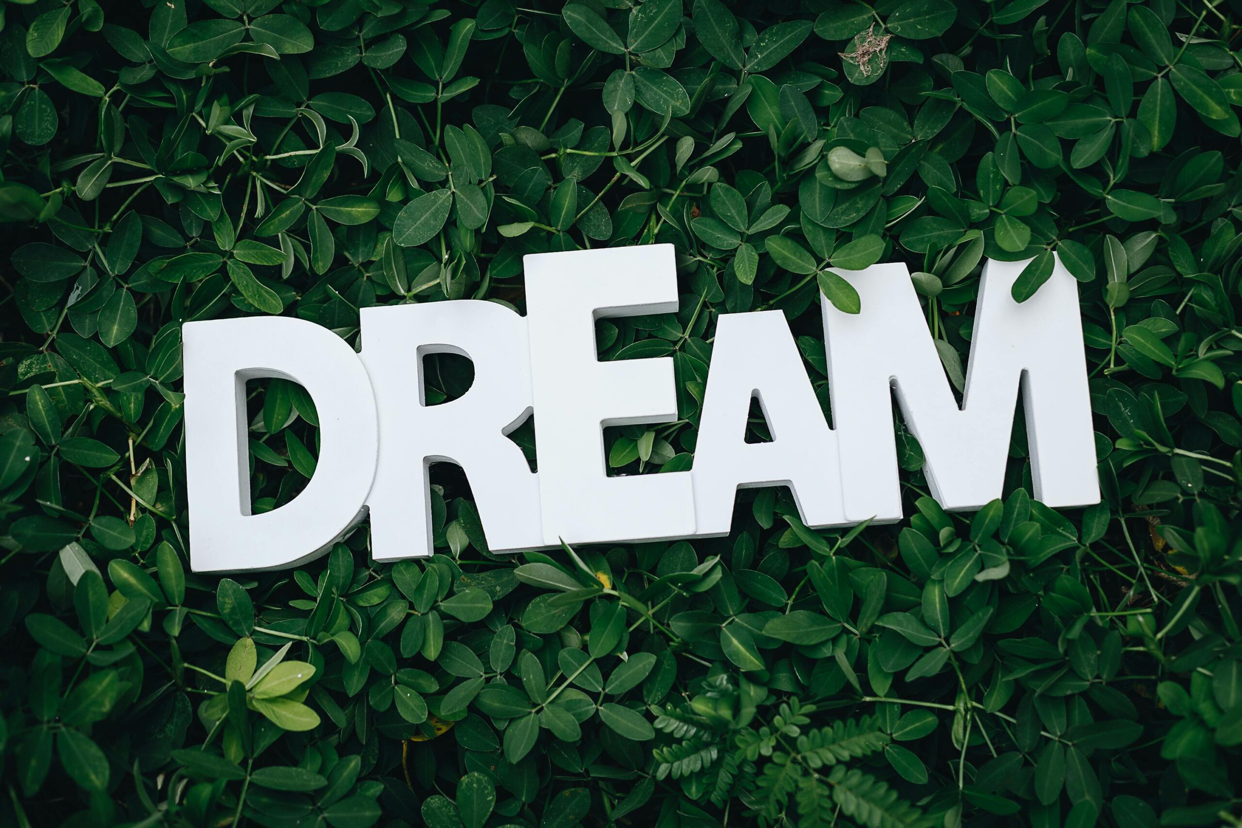 DREAM Word and Green Leaves